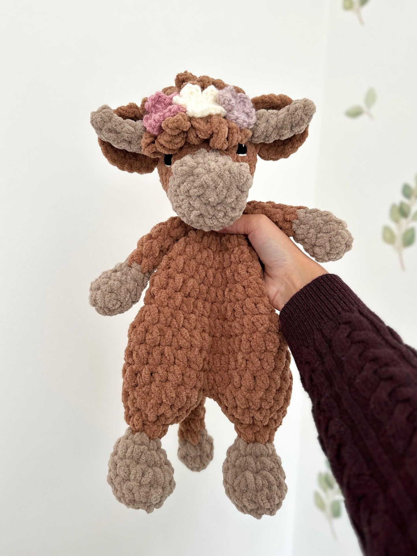 Highland Cow
